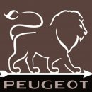 PSP Peugeot